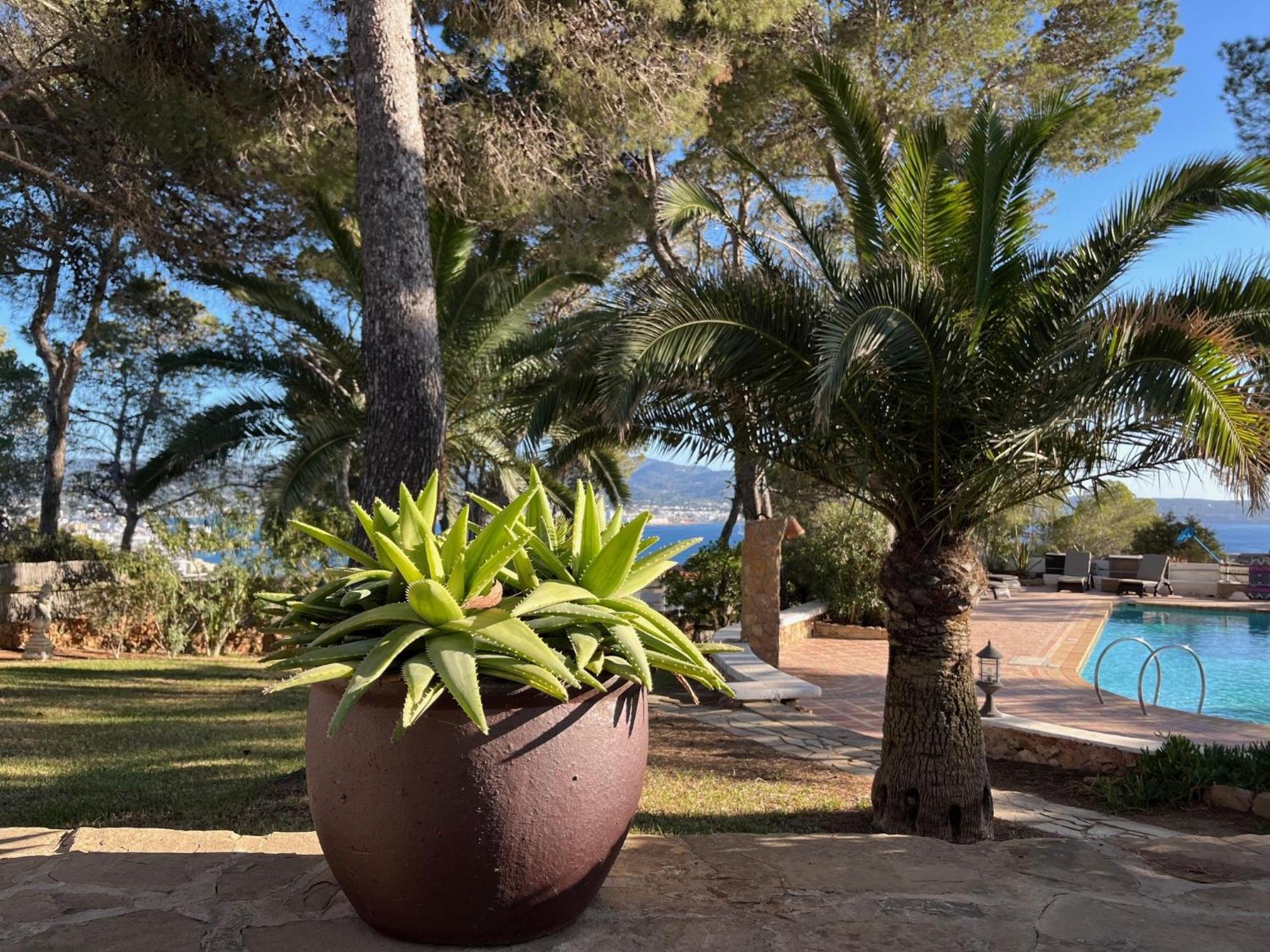 Villa Colina Ibiza Сан-Антоніо Екстер'єр фото