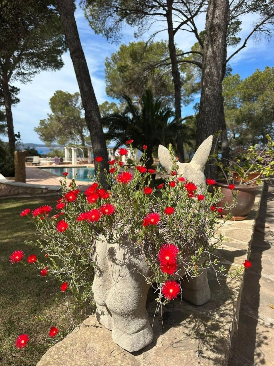 Villa Colina Ibiza Сан-Антоніо Екстер'єр фото